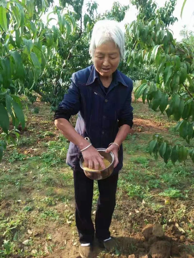 李秀香 女 64岁（胃部肿瘤）