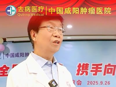 视频3
