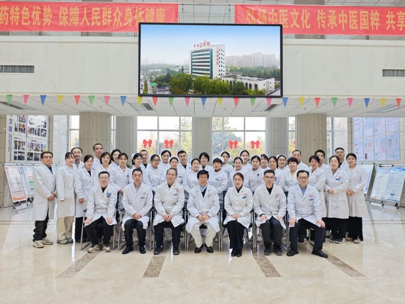 专家团队